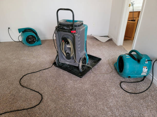 Best Fire Damage Restoration  in Whetstone, AZ