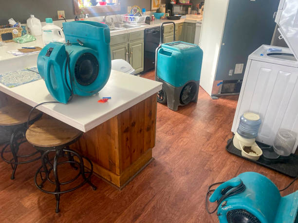 Best 24-hour water damage restoration  in Whetstone, AZ