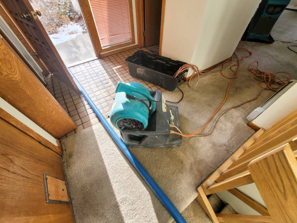 Best Water damage contractors near me  in Whetstone, AZ