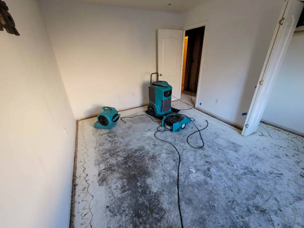 Best Local water damage restoration  in Whetstone, AZ