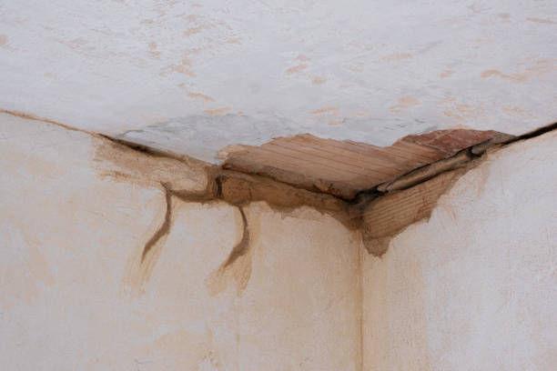 Best Water damage restoration near me  in Whetstone, AZ
