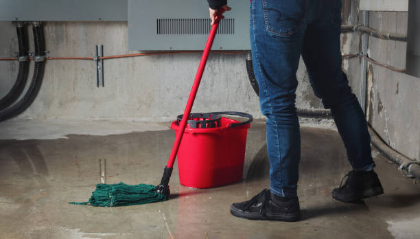 Trusted Whetstone, AZ Water damage restoration Experts
