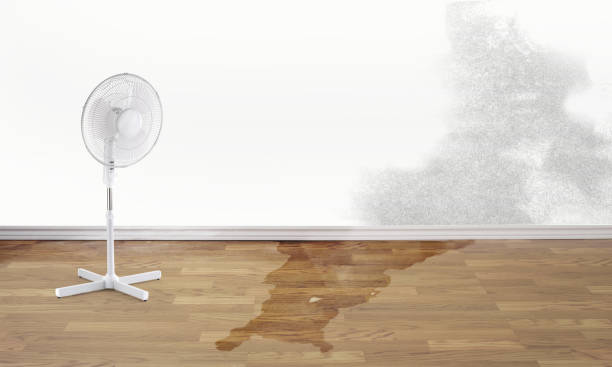 Water damage restoration process in Whetstone, AZ
