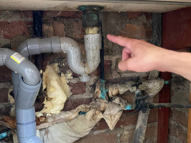 Water damage restoration mold remediation in Whetstone, AZ