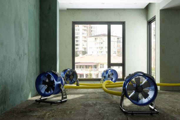 Best Emergency water damage restoration  in Whetstone, AZ
