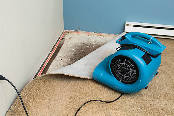 Water damage restoration mold remediation in Whetstone, AZ